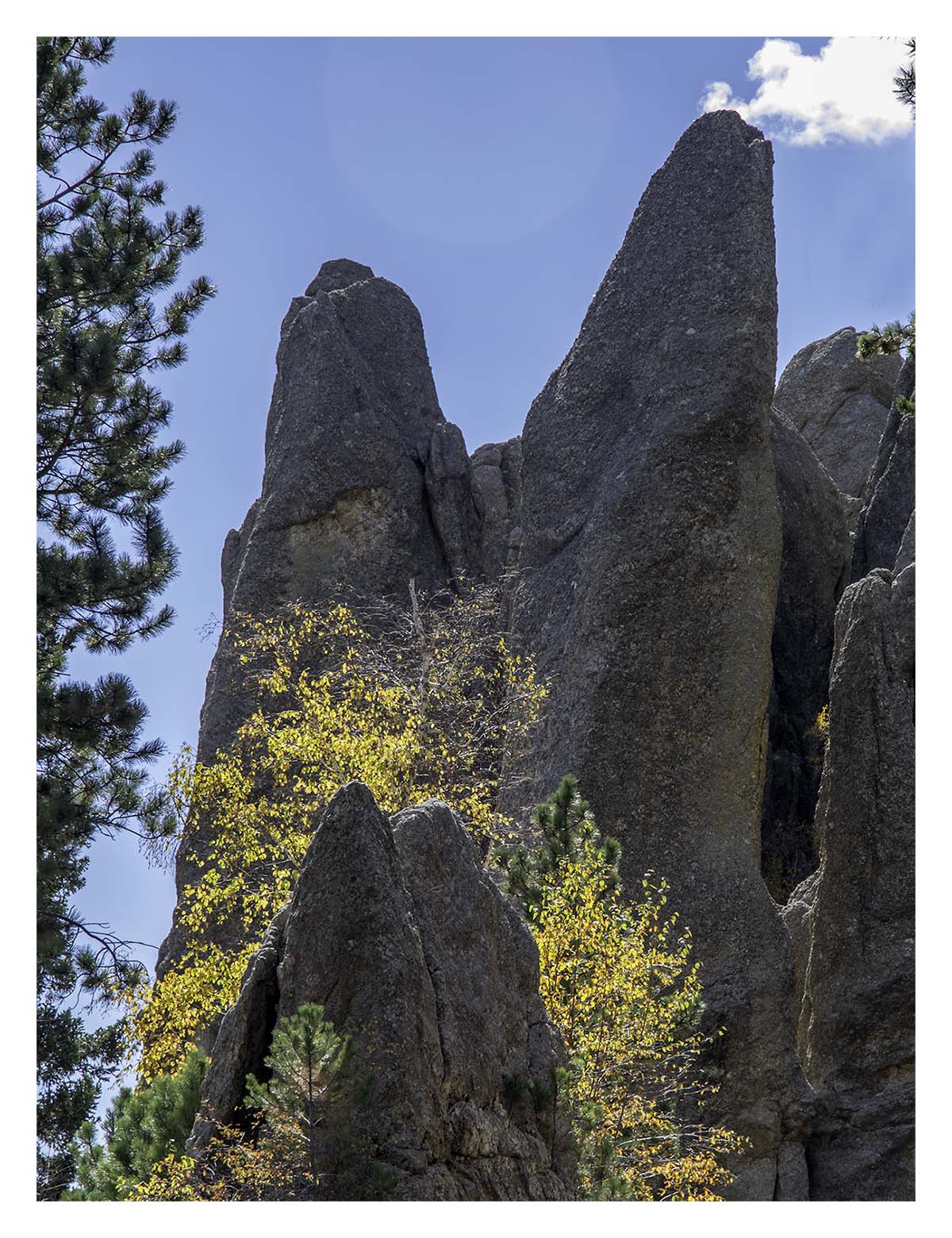 Custer State Park